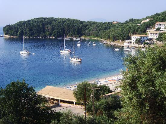 Nikolas Bay * Kalámi